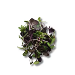 MikroBylinky mix